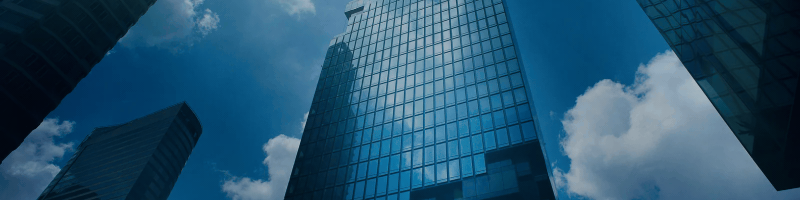 _NetSuite Newsletter Landing Pg Banner CTA.gif